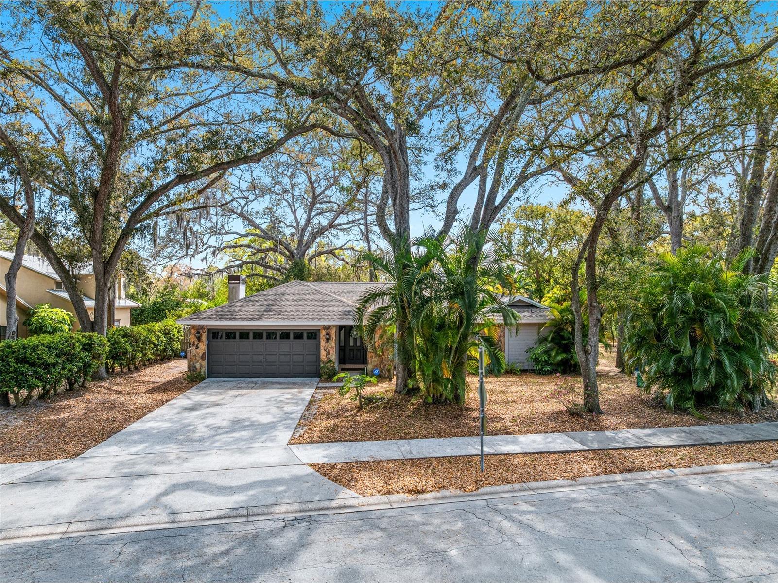 1811 La Grande Drive Dunedin FL 34698 TB8484269 image49