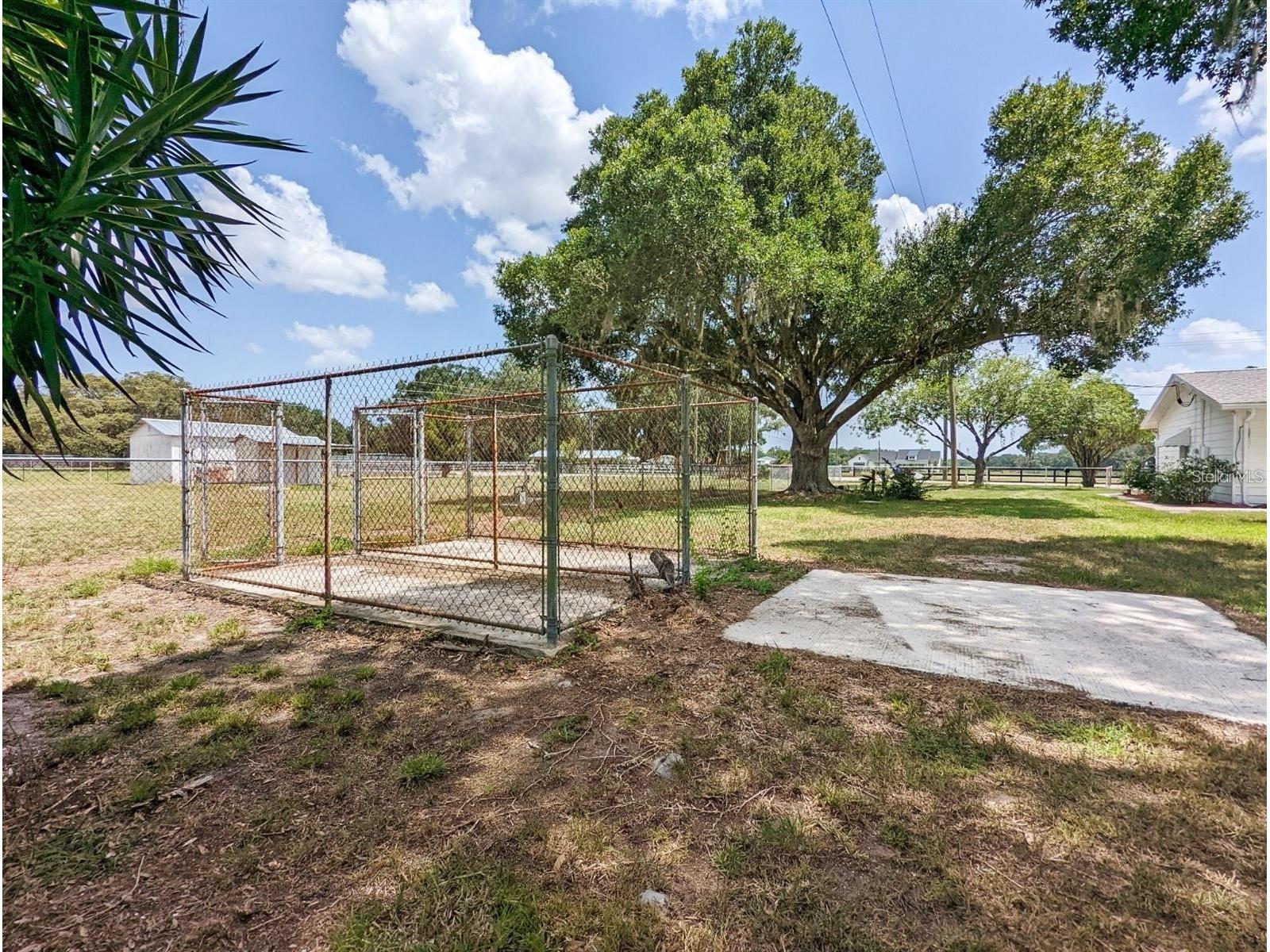 18110 Dorman Road Lithia FL 33547 TB8464864 image25