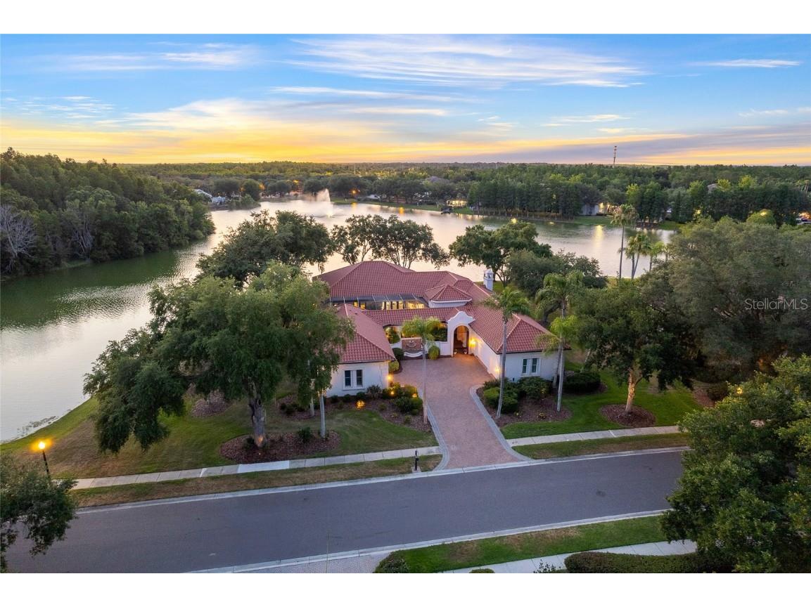 18110 Longwater Run Drive Tampa FL 33647 T3531521 image1