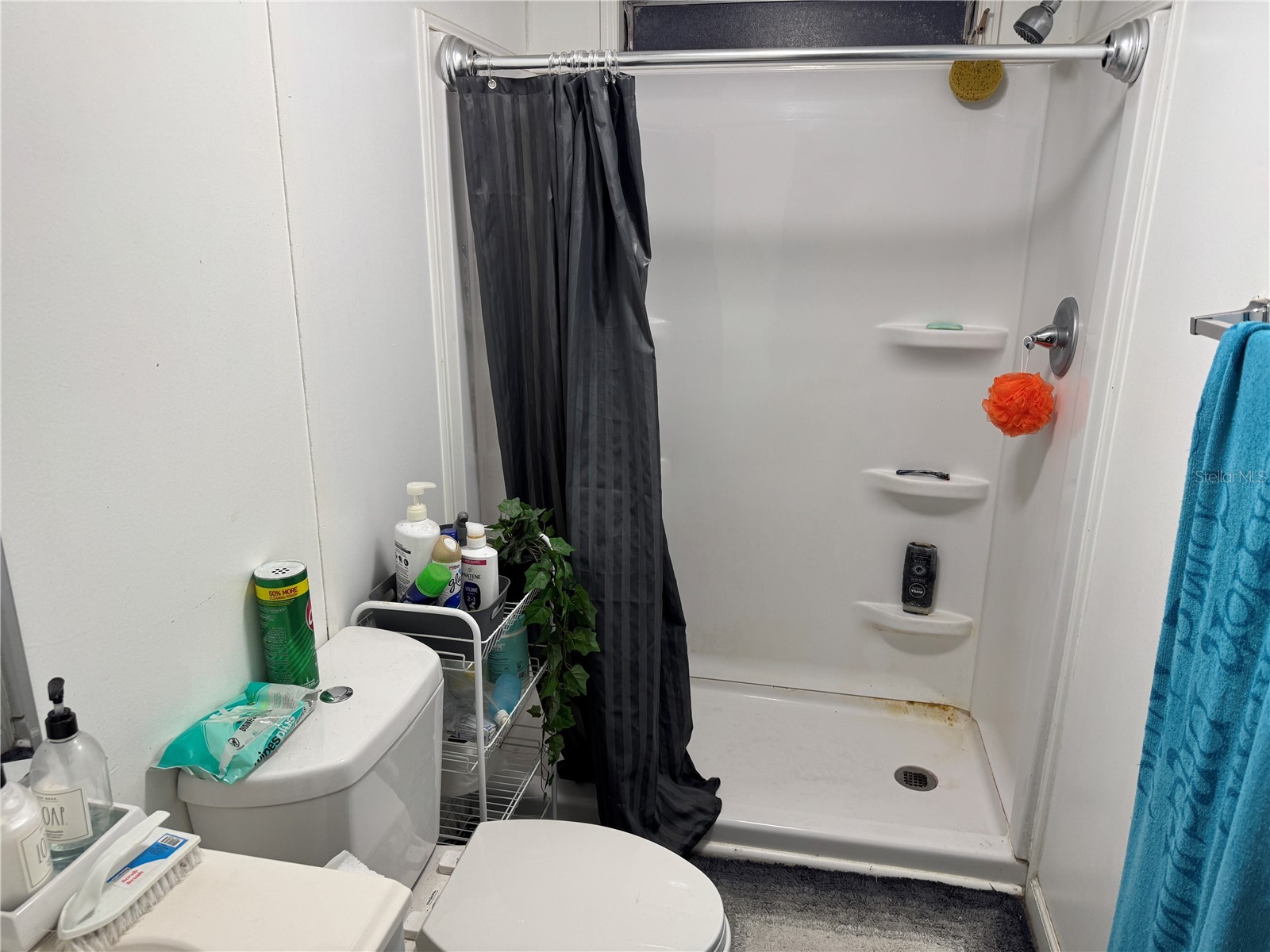 18110 Spangler Avenue Brooksville FL 34604 TB8475792 image5