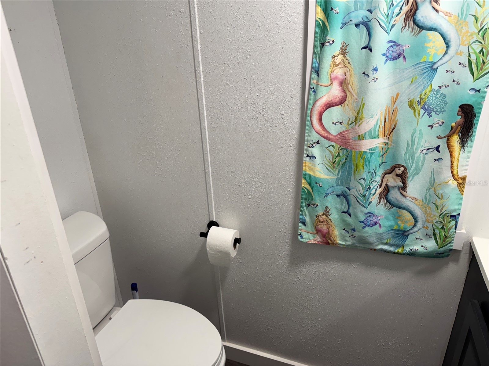 18110 Spangler Avenue Brooksville FL 34604 TB8476394 image12