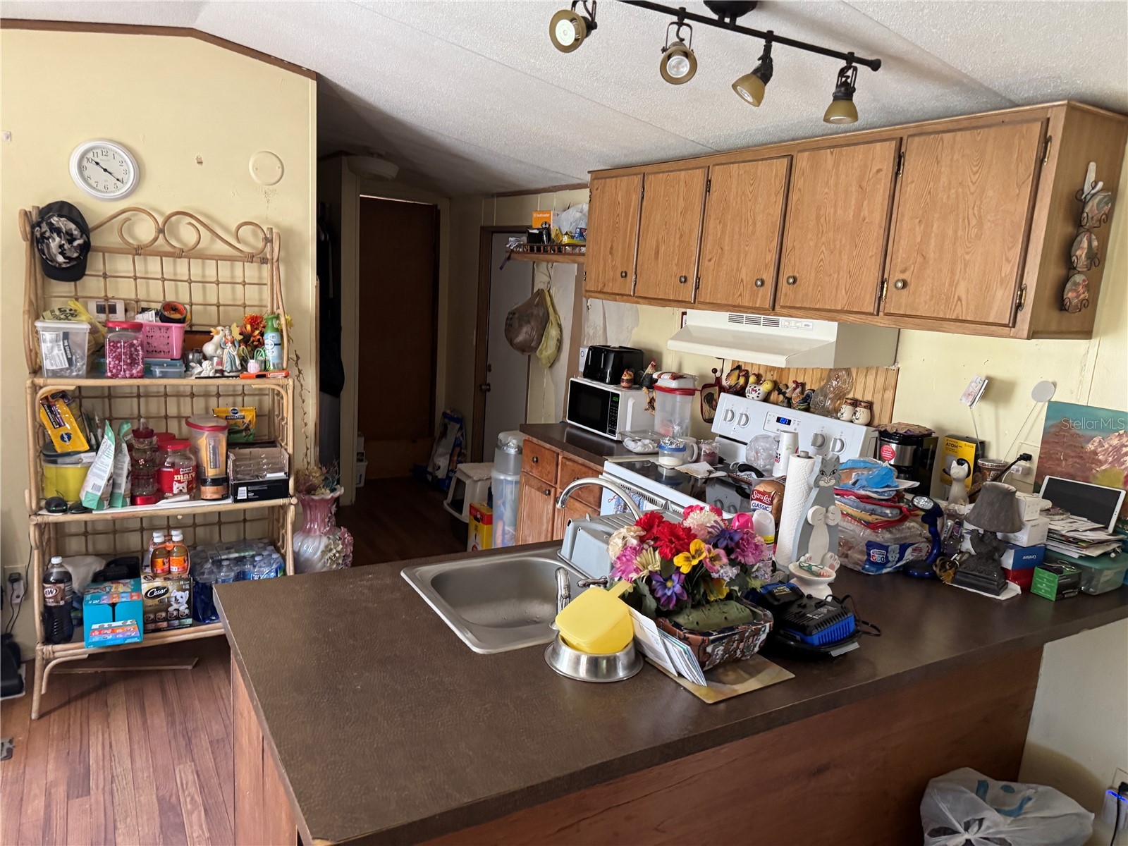 18110 Spangler Avenue Brooksville FL 34604 TB8476394 image30