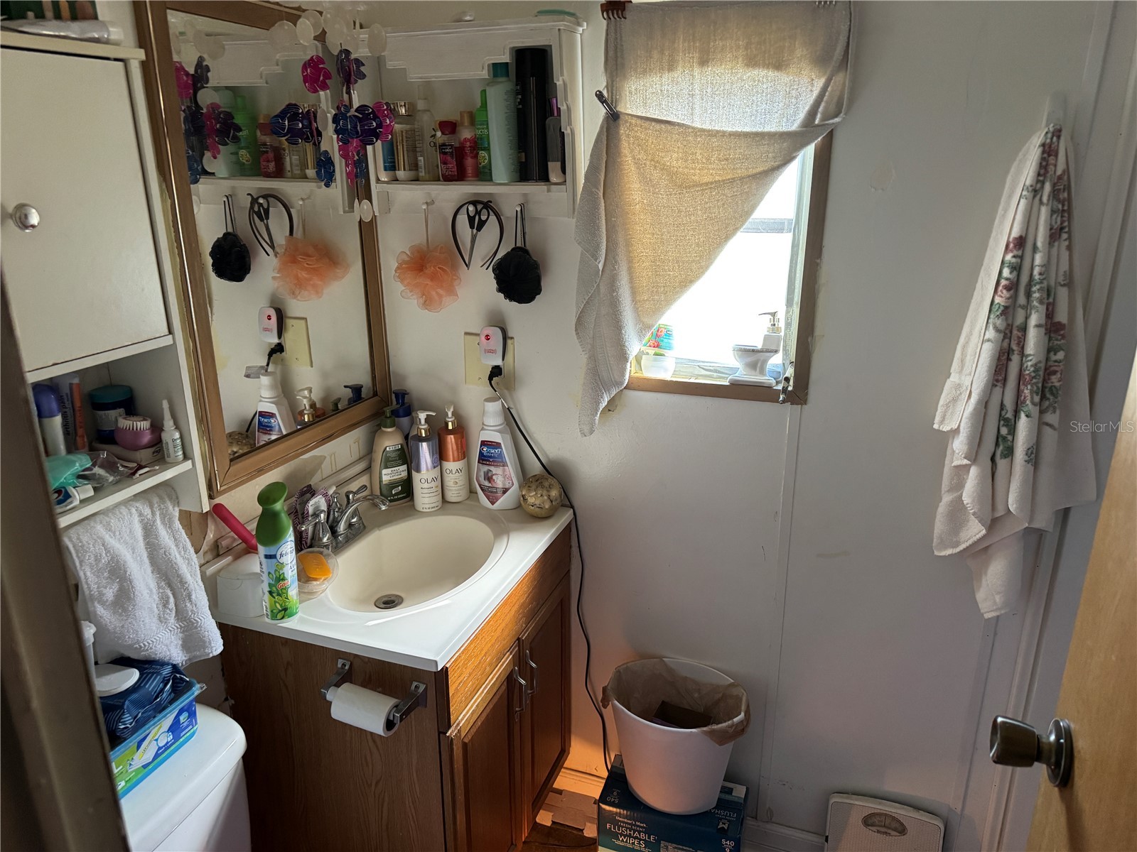 18110 Spangler Avenue Brooksville FL 34604 TB8476394 image32
