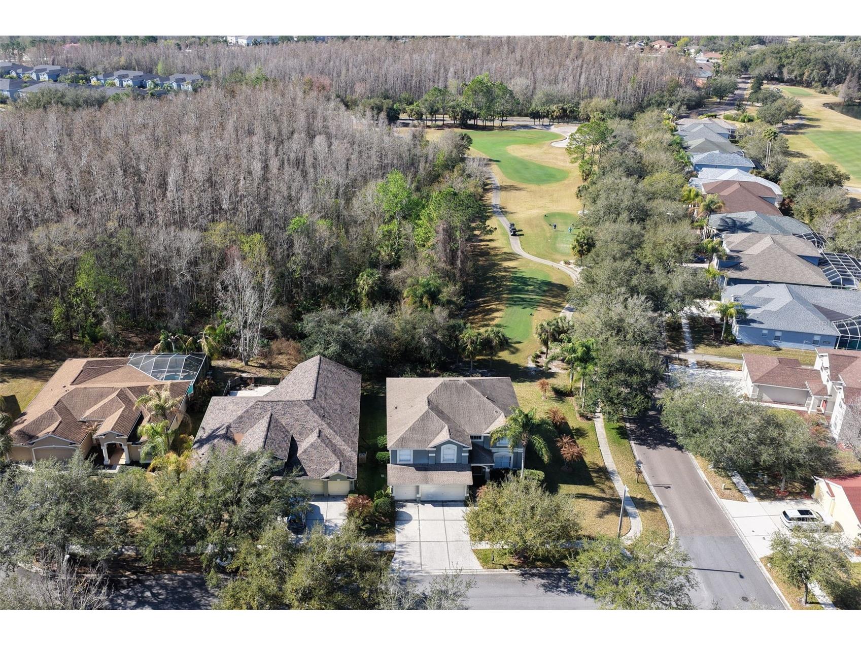 18110 Turtle Beach Way Tampa FL 33647 TB8477621 image3
