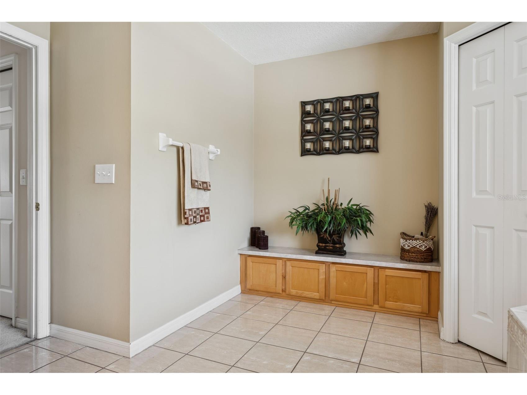 18110 Turtle Beach Way Tampa FL 33647 TB8477621 image40