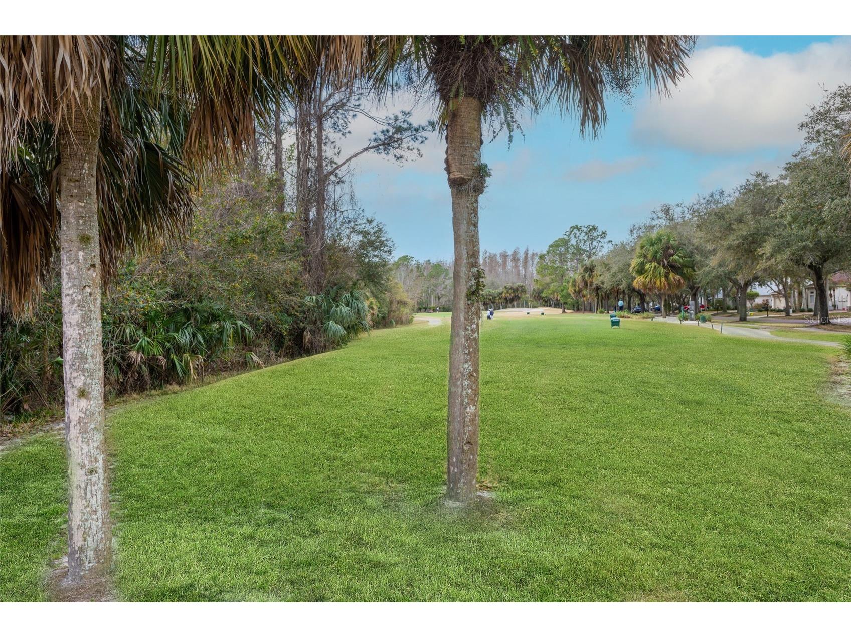 18110 Turtle Beach Way Tampa FL 33647 TB8477621 image45