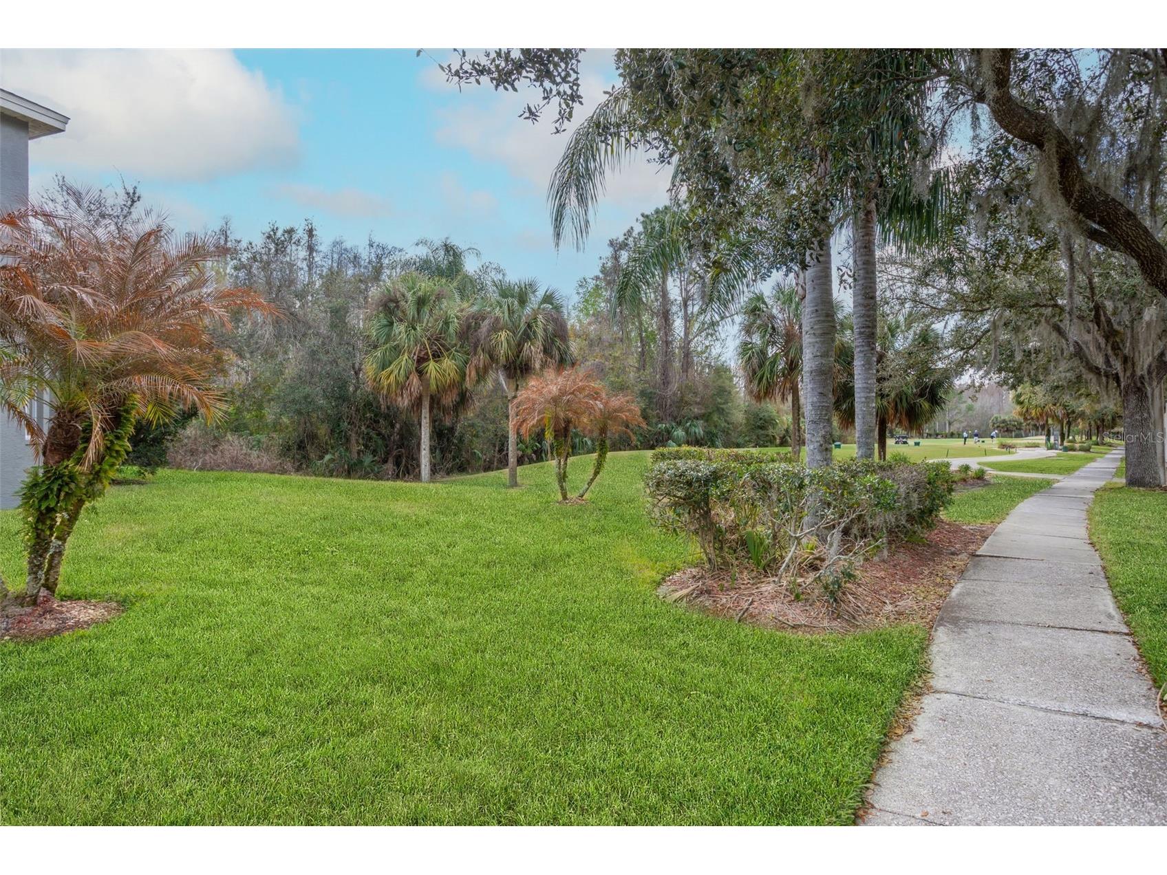 18110 Turtle Beach Way Tampa FL 33647 TB8477621 image46