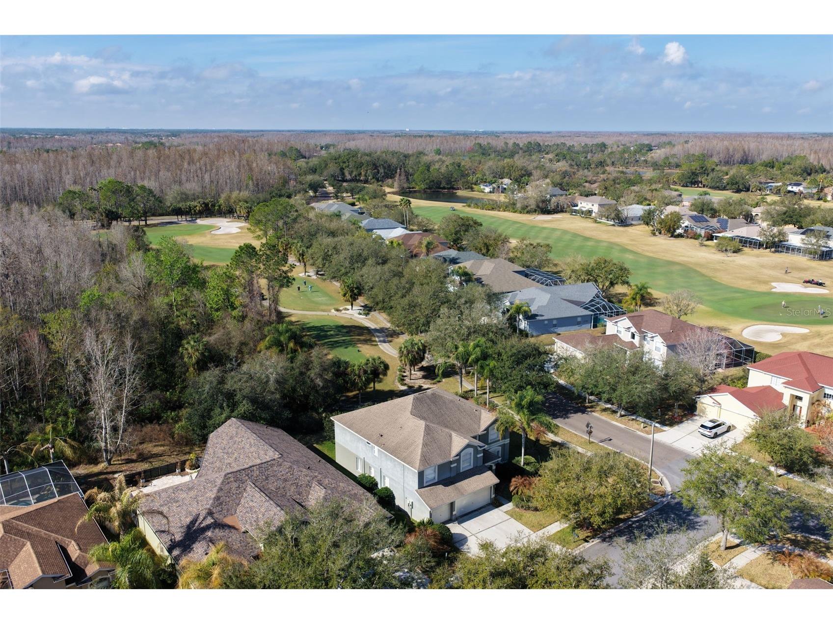 18110 Turtle Beach Way Tampa FL 33647 TB8477621 image49