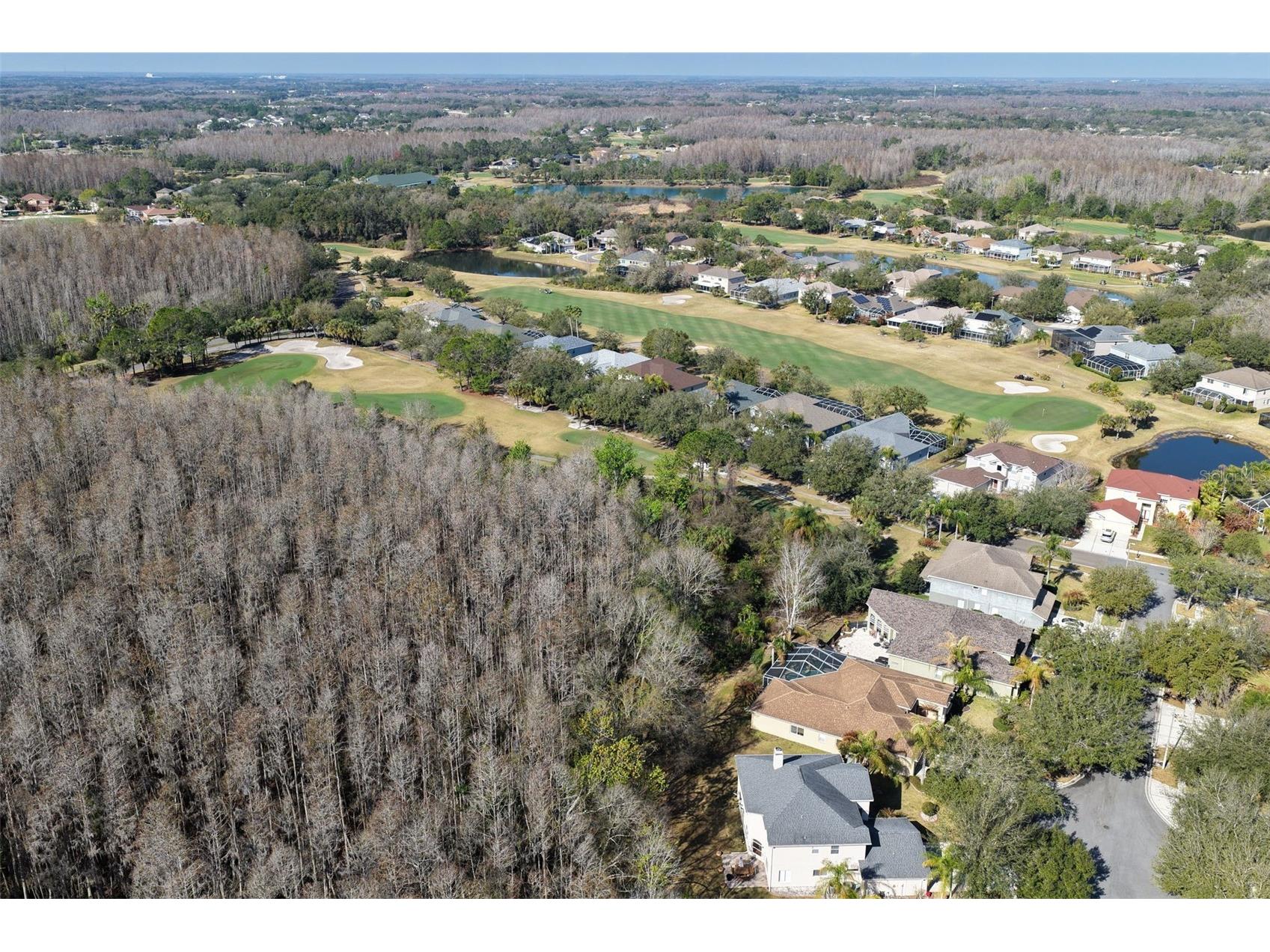 18110 Turtle Beach Way Tampa FL 33647 TB8477621 image52