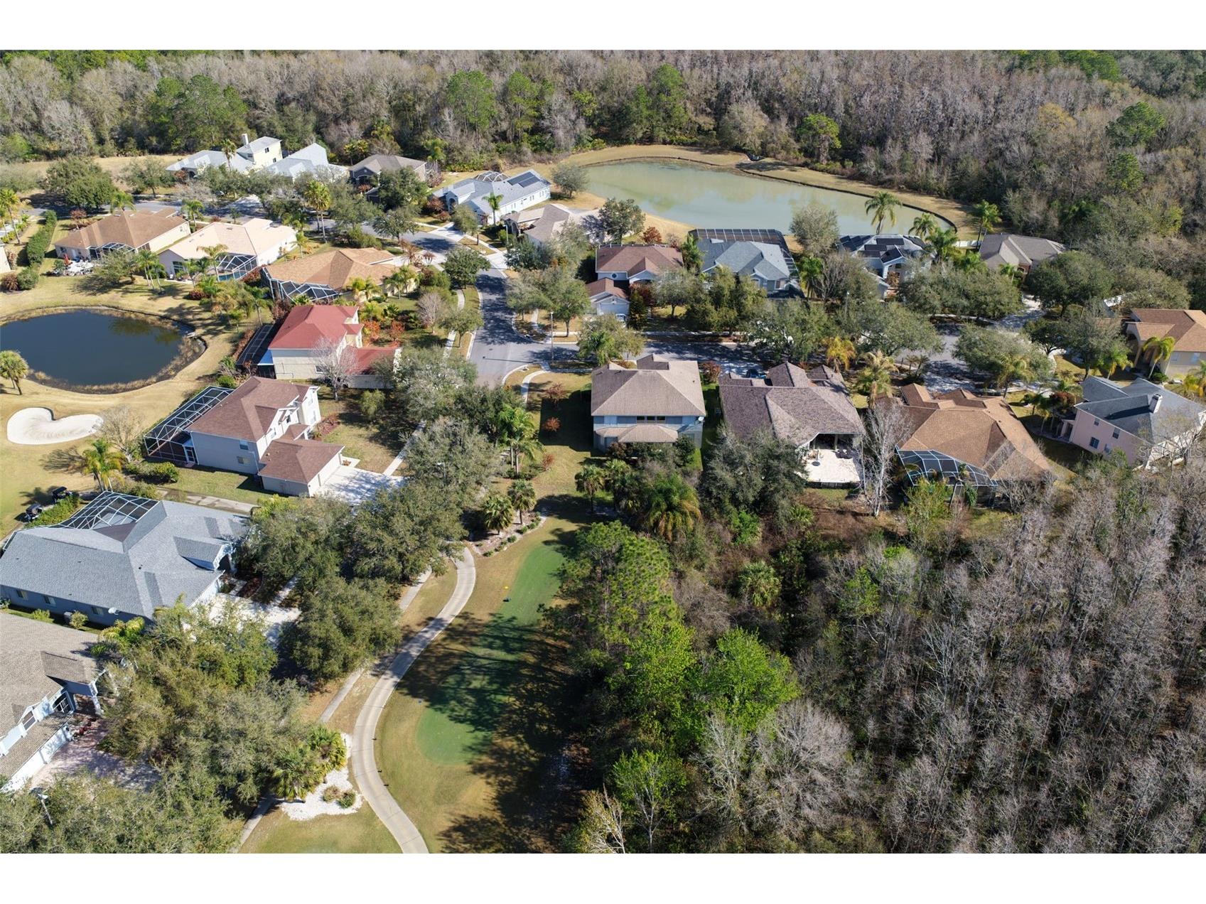18110 Turtle Beach Way Tampa FL 33647 TB8477621 image53