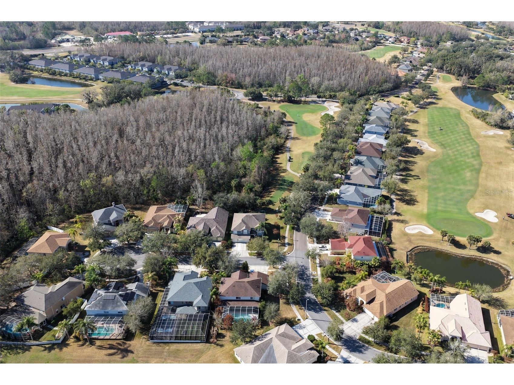 18110 Turtle Beach Way Tampa FL 33647 TB8477621 image56
