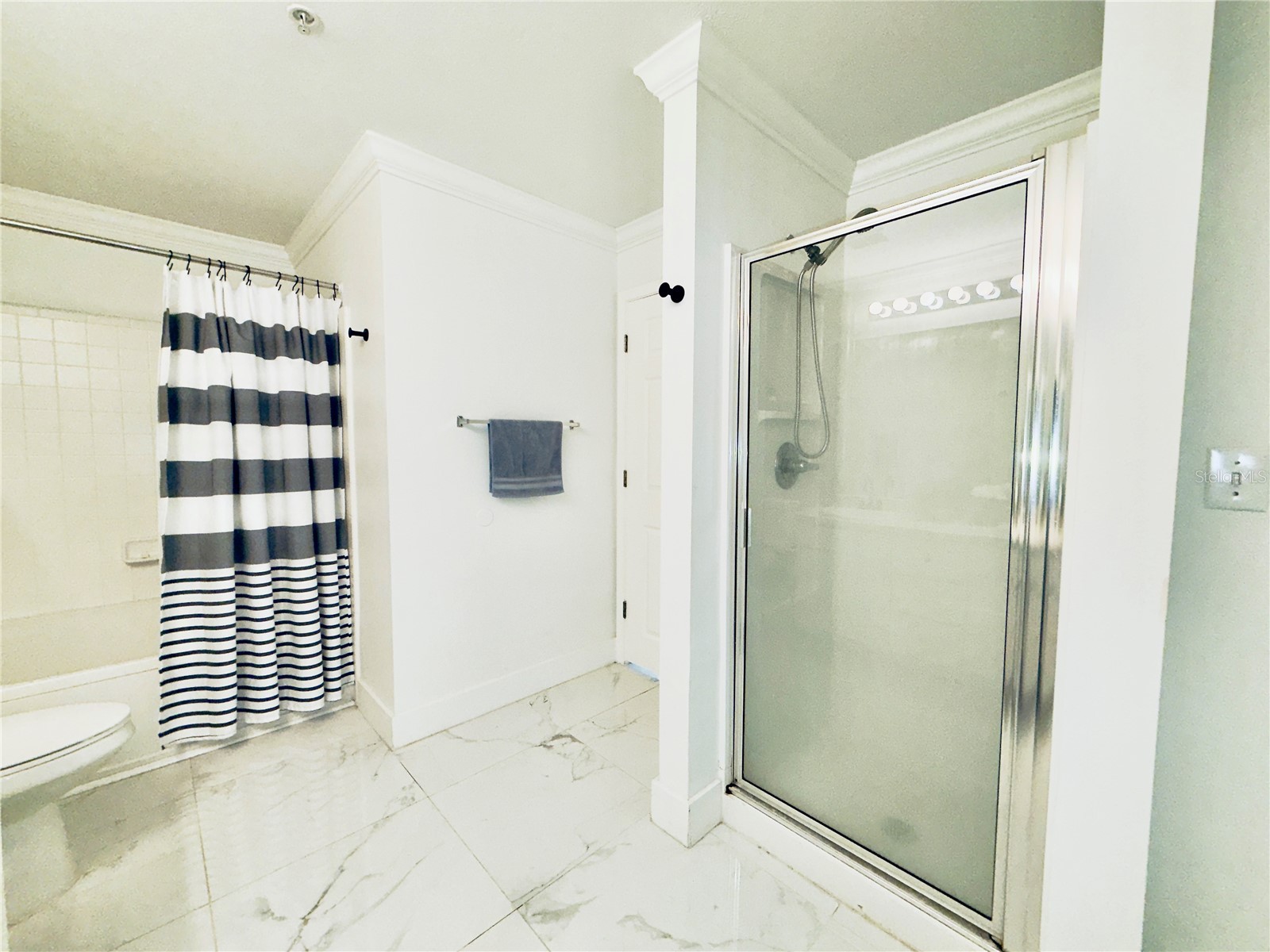 18111 Bridle Bit Lane Tampa FL 33647 TB8504986 image9