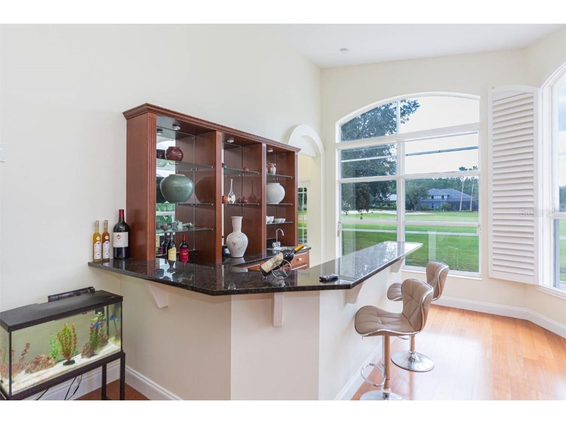 18111 Diamond Cove Court Tampa FL 33647 TB8406838 image24