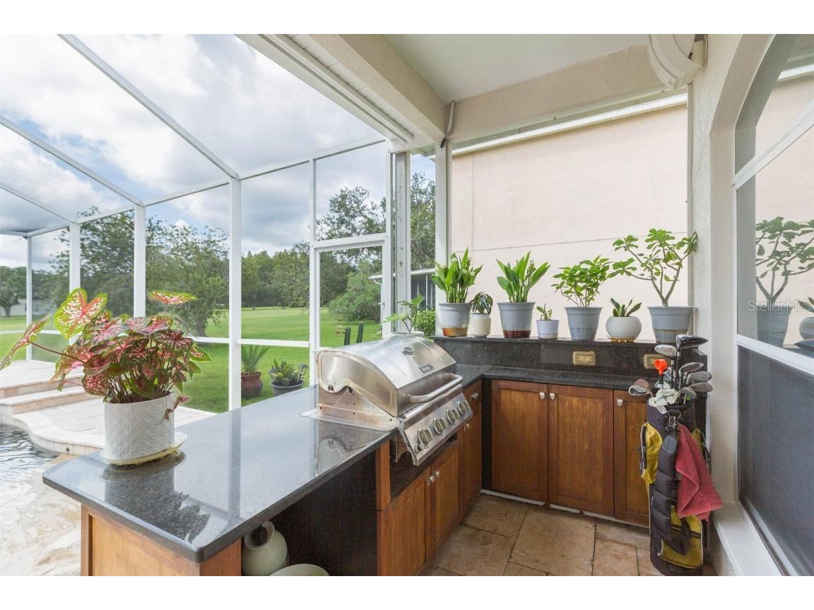 18111 Diamond Cove Court Tampa FL 33647 TB8406838 image43