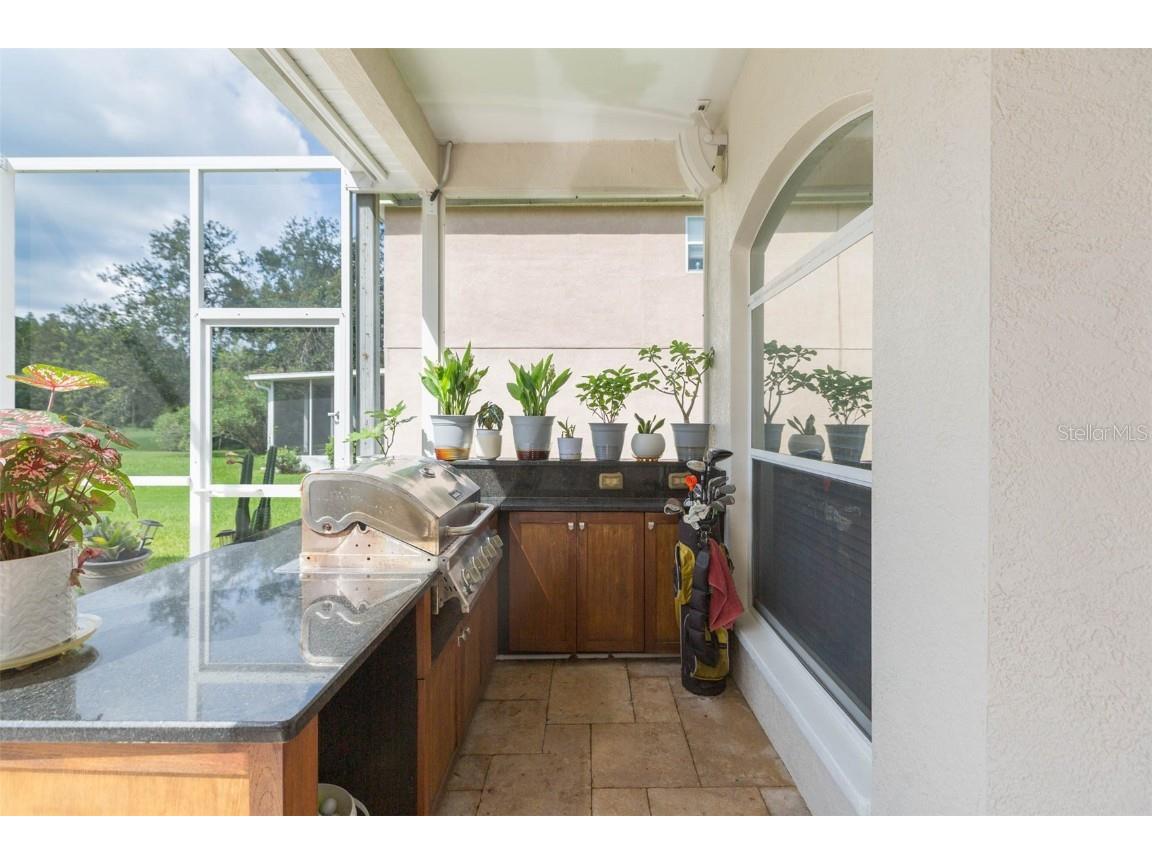 18111 Diamond Cove Court Tampa FL 33647 TB8406838 image44