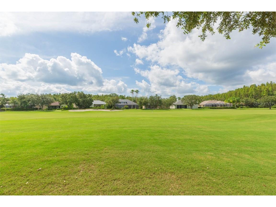 18111 Diamond Cove Court Tampa FL 33647 TB8406838 image52