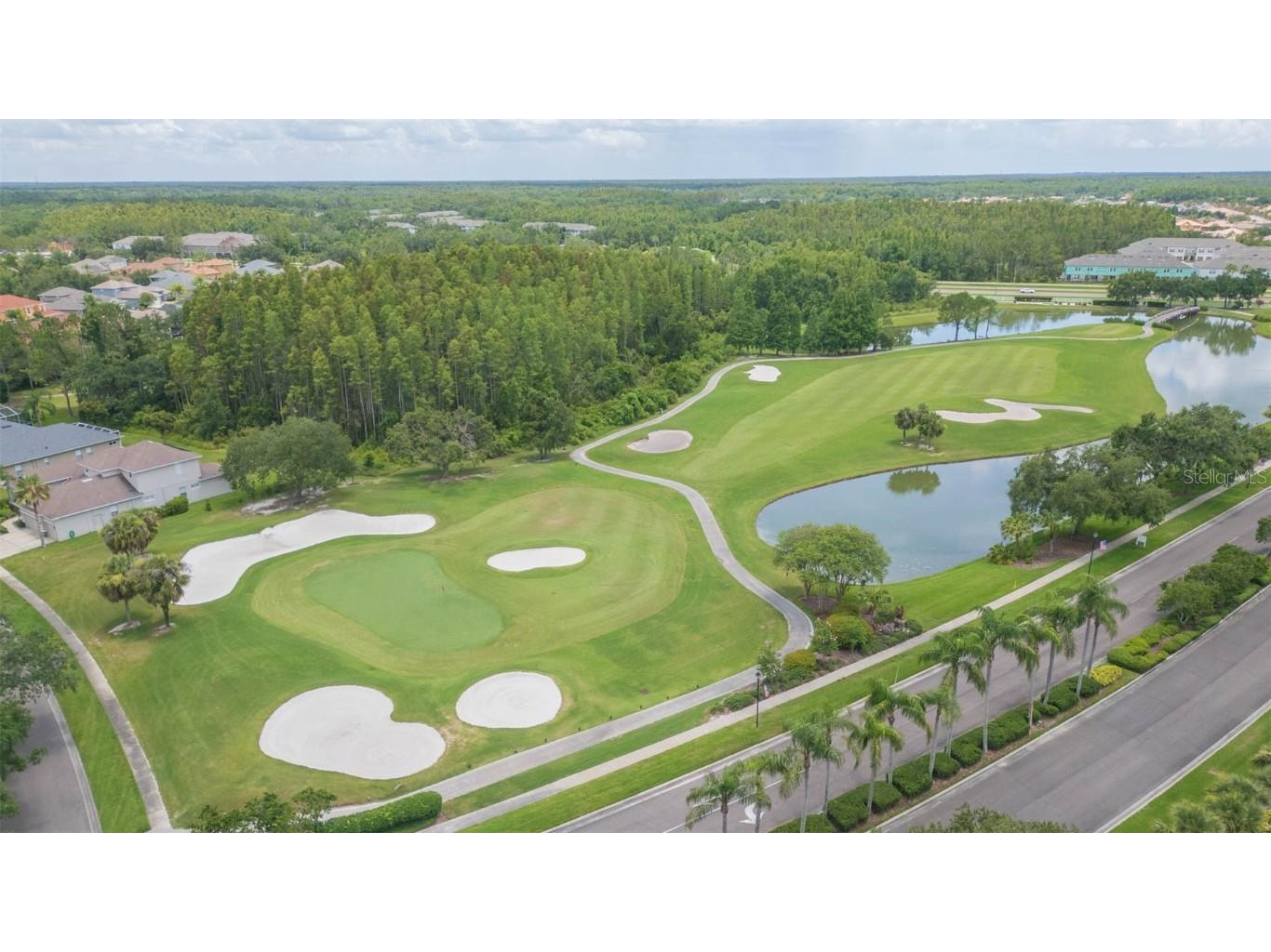 18111 Diamond Cove Court Tampa FL 33647 TB8406838 image72