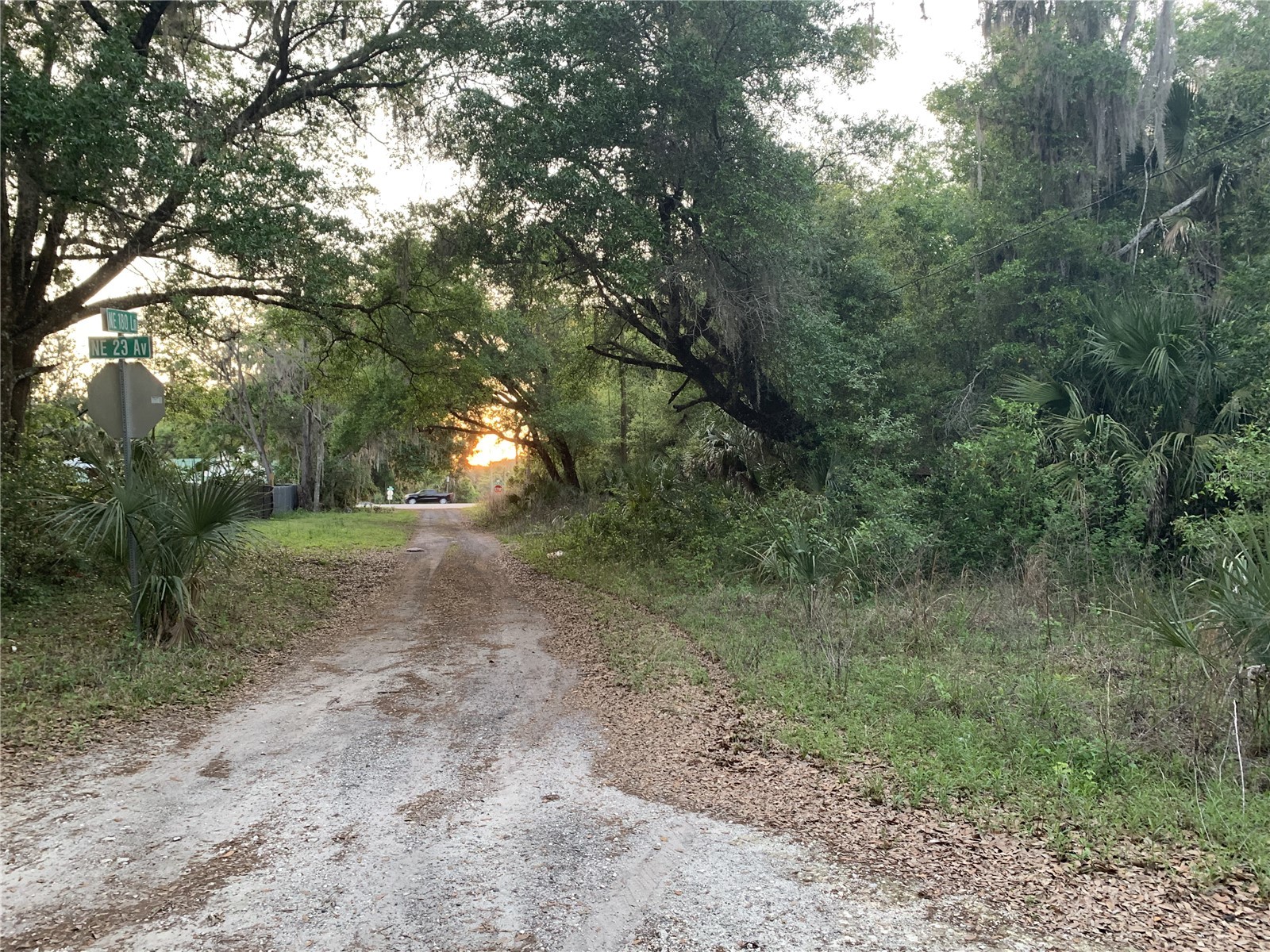 18111 N Us Hwy 301 Citra FL 32113 OM721659 image10