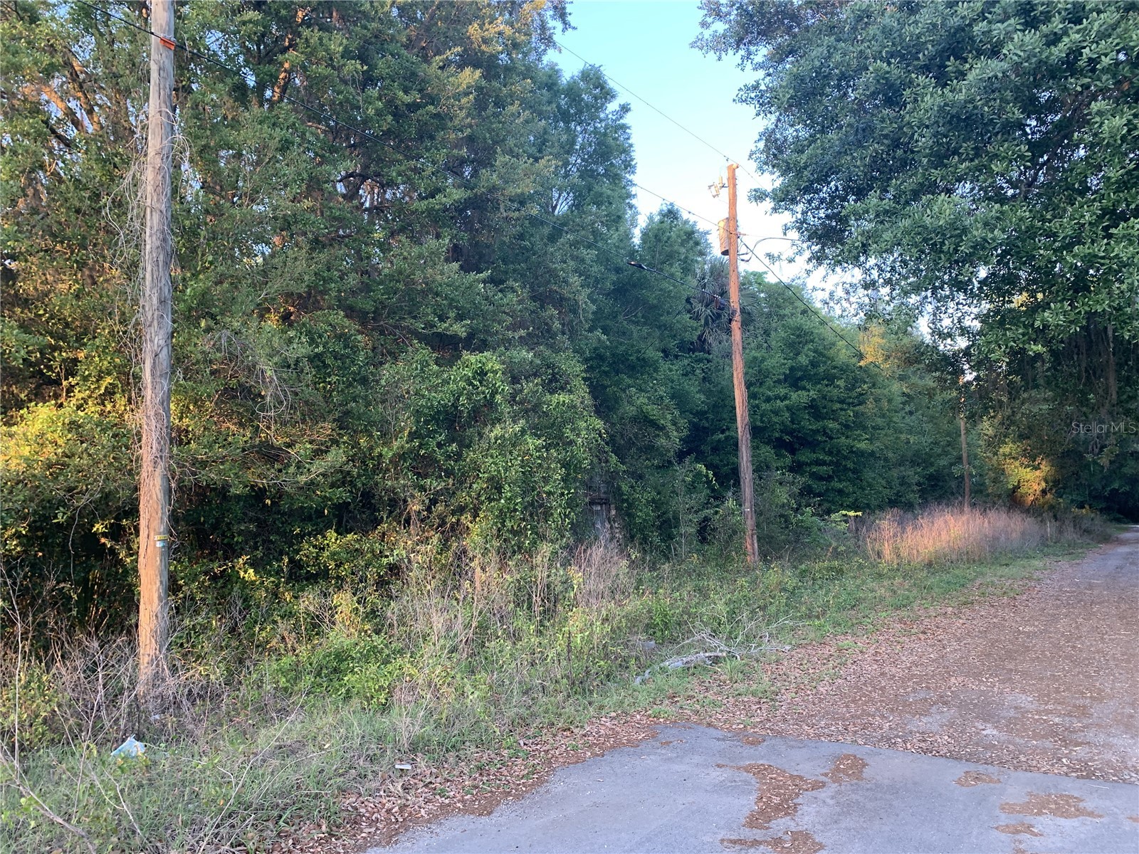 18111 N Us Hwy 301 Citra FL 32113 OM721659 image11