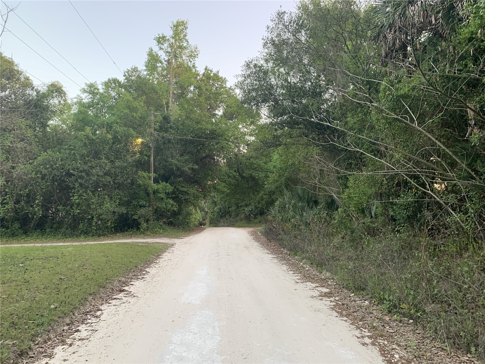 18111 N Us Hwy 301 Citra FL 32113 OM721659 image12