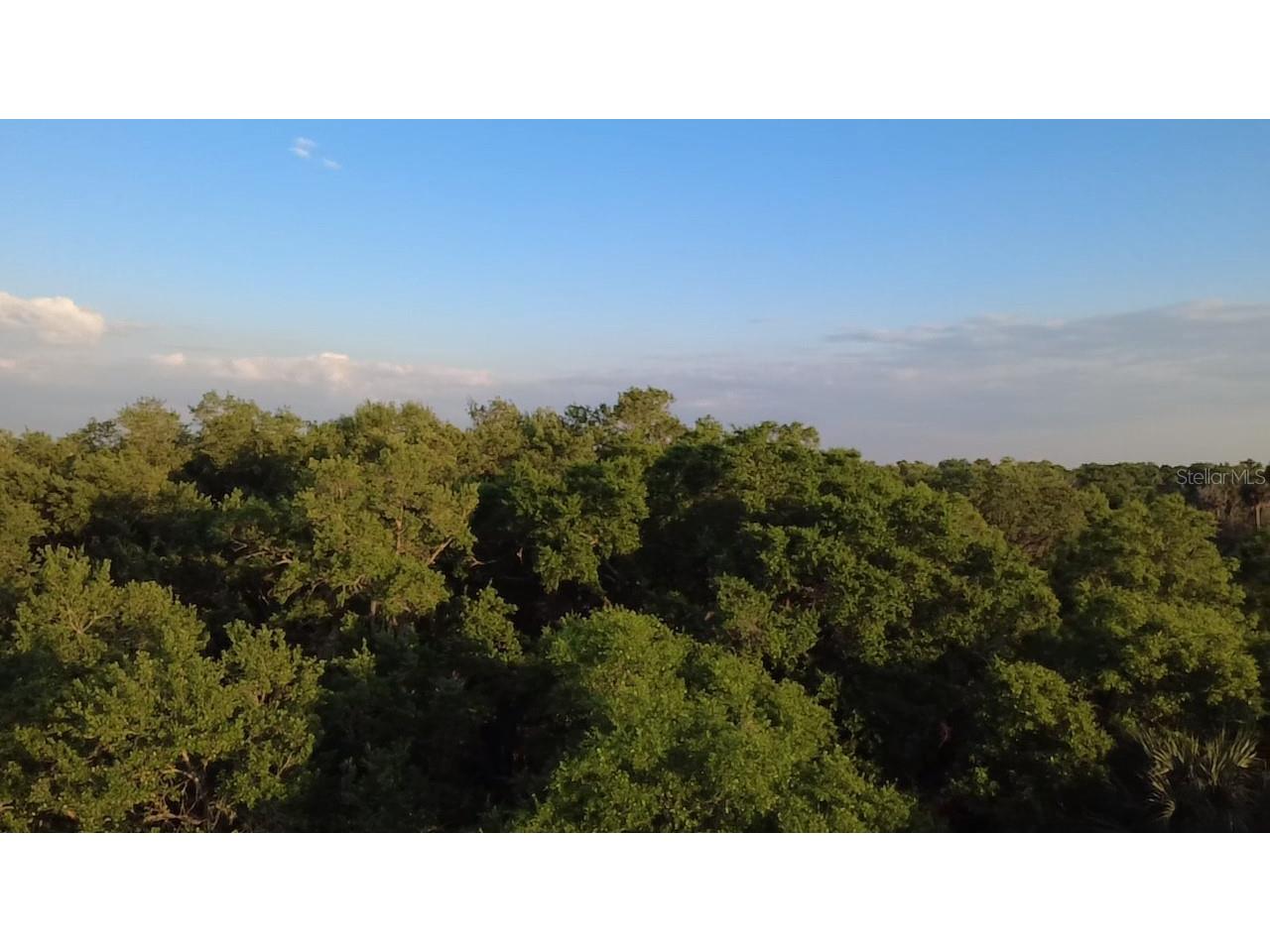 18111 N Us Hwy 301 Citra FL 32113 OM721659 image2