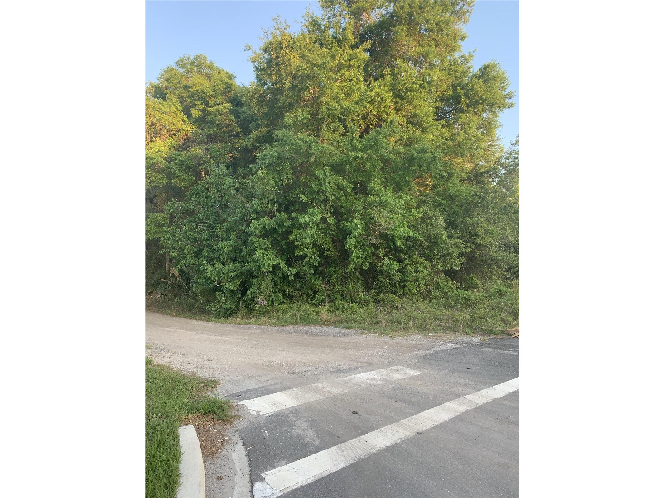 18111 N Us Hwy 301 Citra FL 32113 OM721659 image5