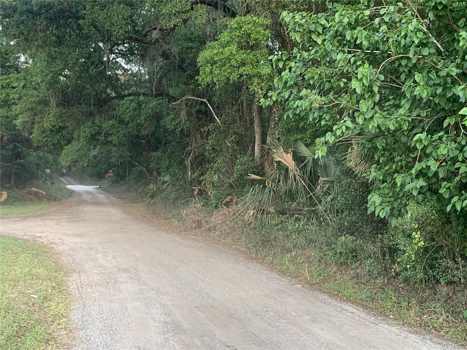 18111 N Us Hwy 301 Citra FL 32113 OM721659 image6