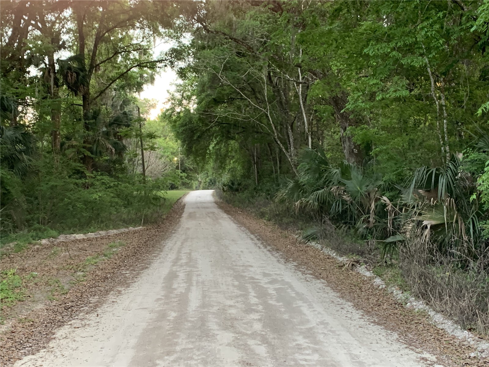 18111 N Us Hwy 301 Citra FL 32113 OM721659 image7