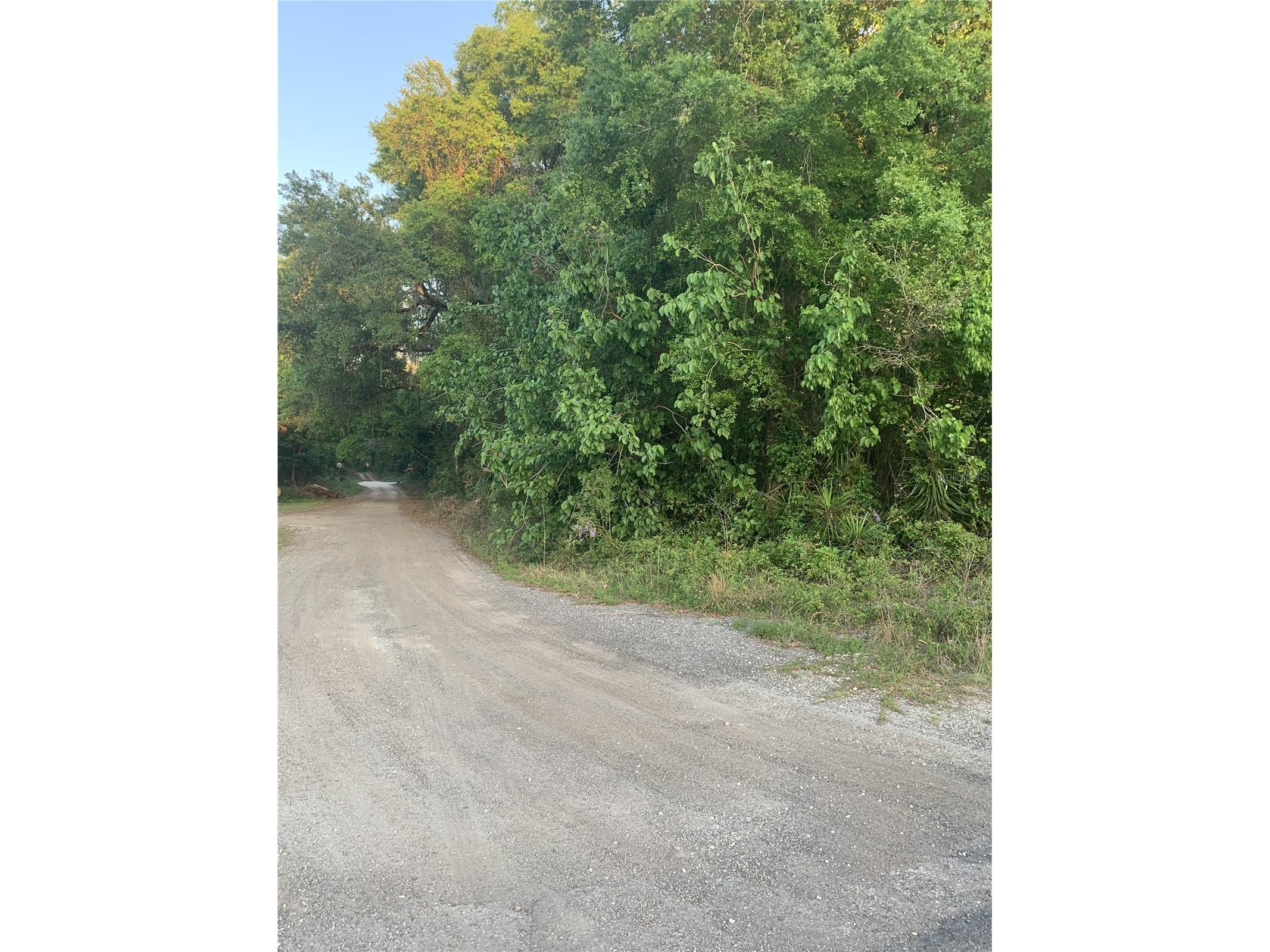 18111 N Us Hwy 301 Citra FL 32113 OM721659 image8