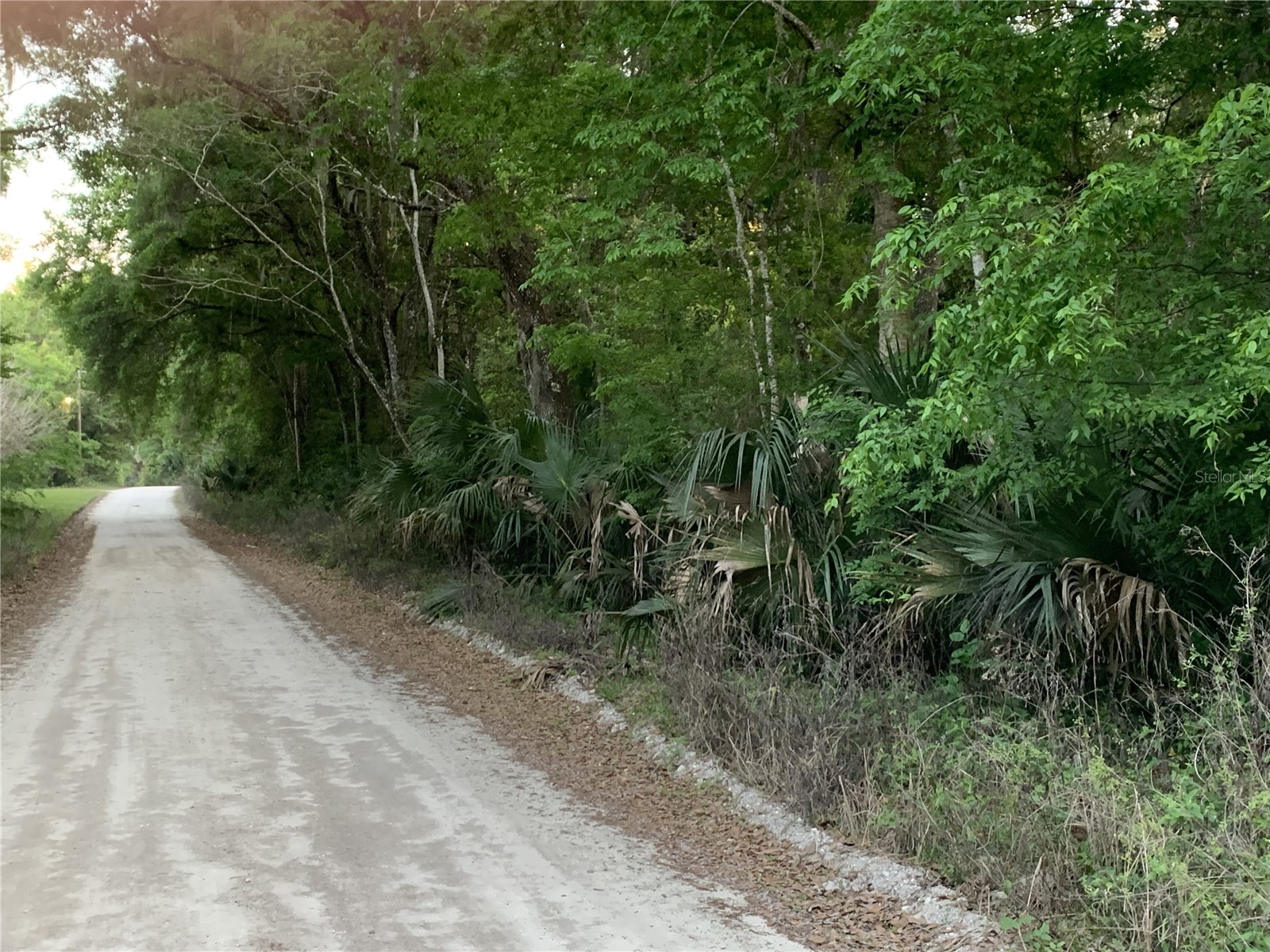 18111 N Us Hwy 301 Citra FL 32113 OM721659 image9