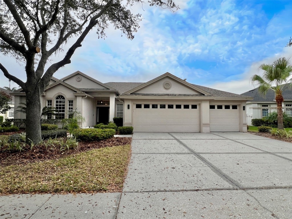 18111 Sugar Brooke Drive Tampa FL 33647 T3508977 image1