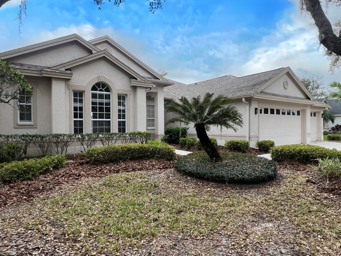 18111 Sugar Brooke Drive Tampa FL 33647 TB8522140 image2
