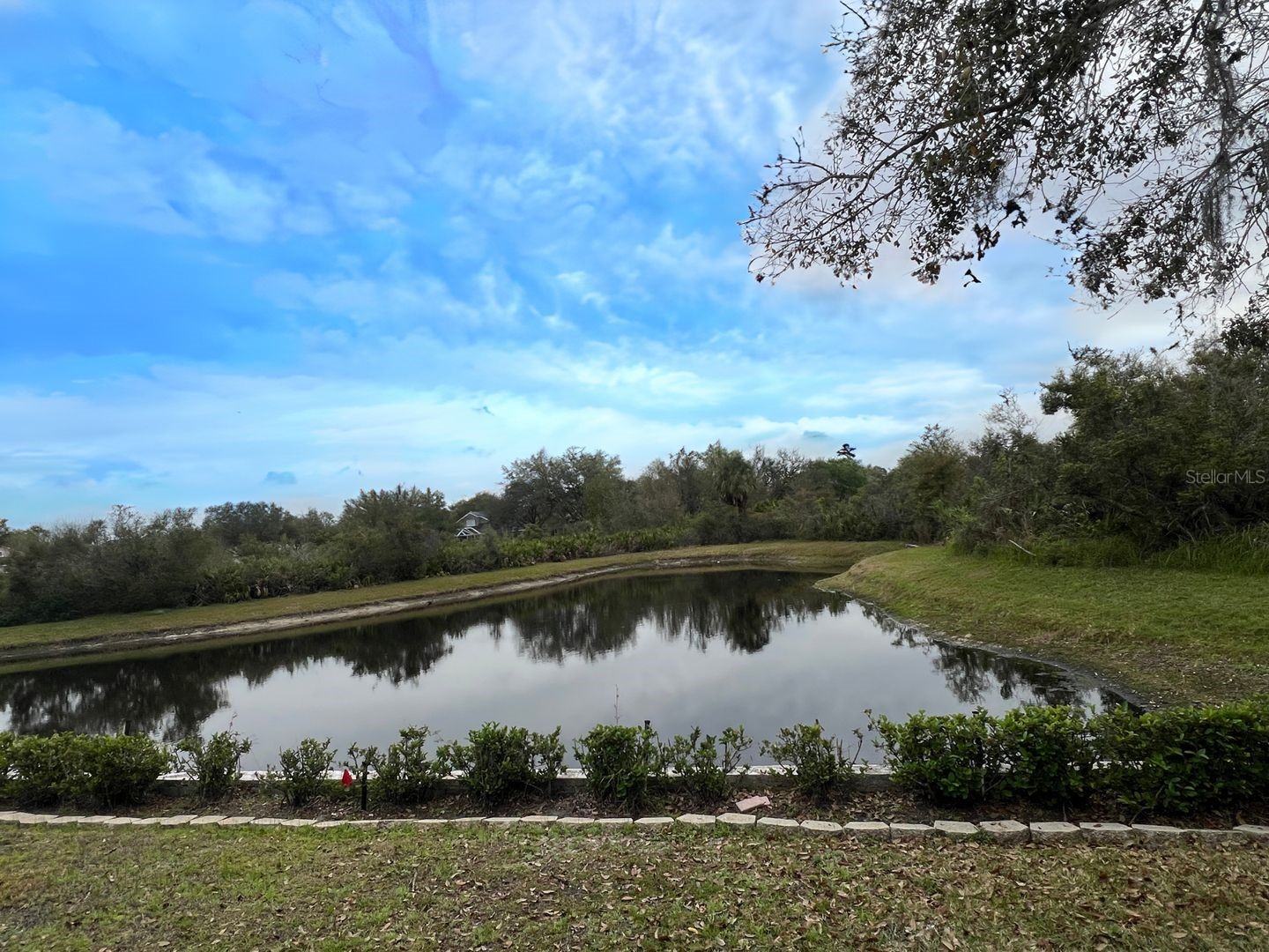 18111 Sugar Brooke Drive Tampa FL 33647 TB8522140 image40