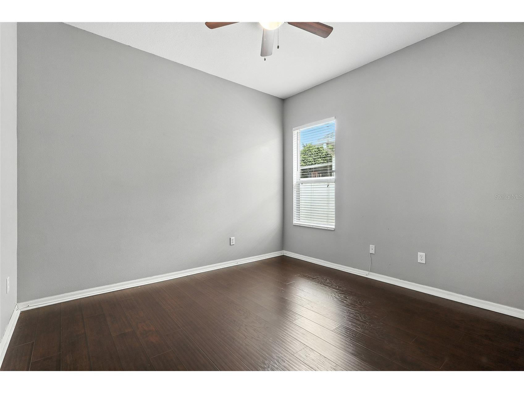 18112 Fall Creek Drive Lutz FL 33558 TB8423590 image22