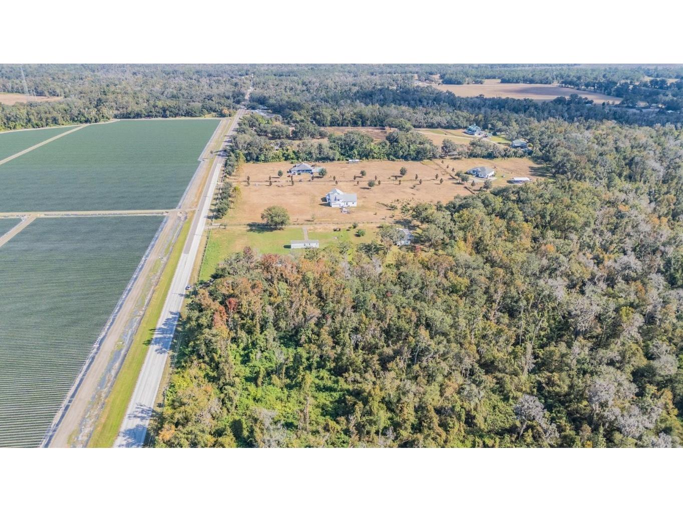 18113 672 Highway Lithia FL 33547 TB8449953 image16