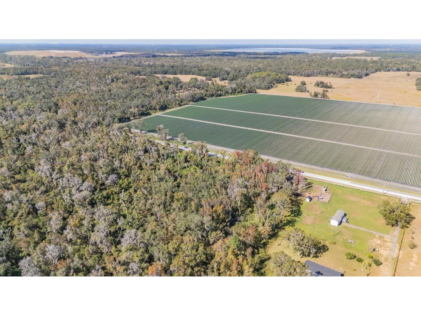 18113 672 Highway Lithia FL 33547 TB8449953 image17