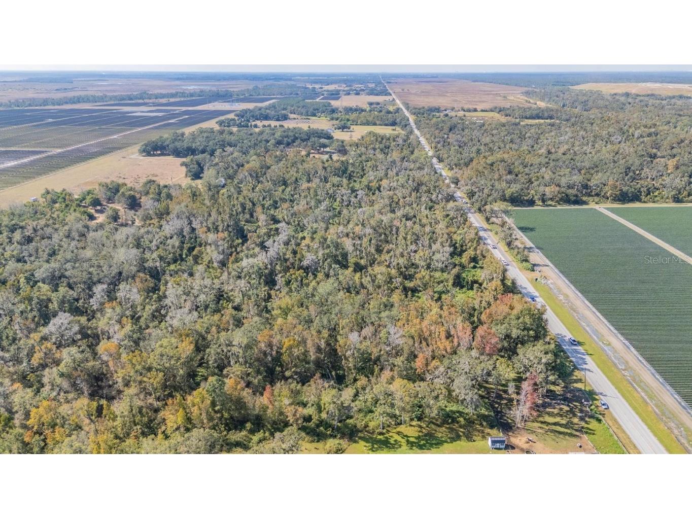 18113 672 Highway Lithia FL 33547 TB8449953 image18