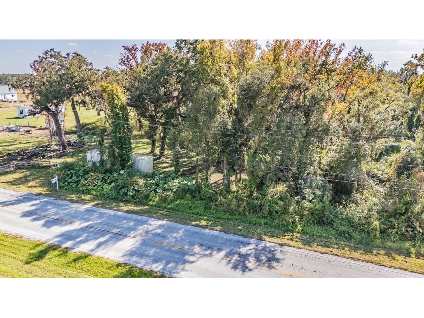 18113 672 Highway Lithia FL 33547 TB8449953 image21