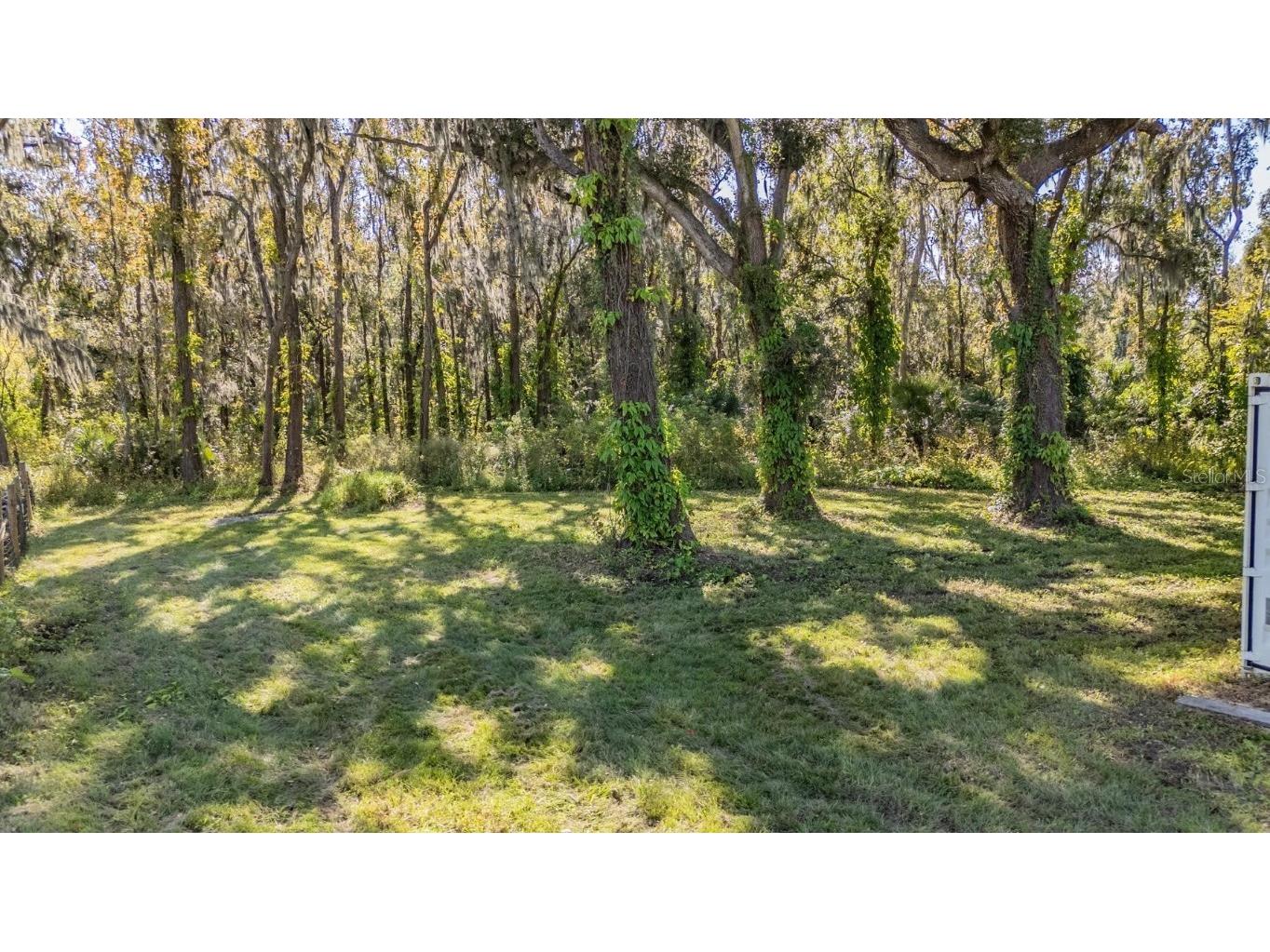 18113 672 Highway Lithia FL 33547 TB8449953 image3