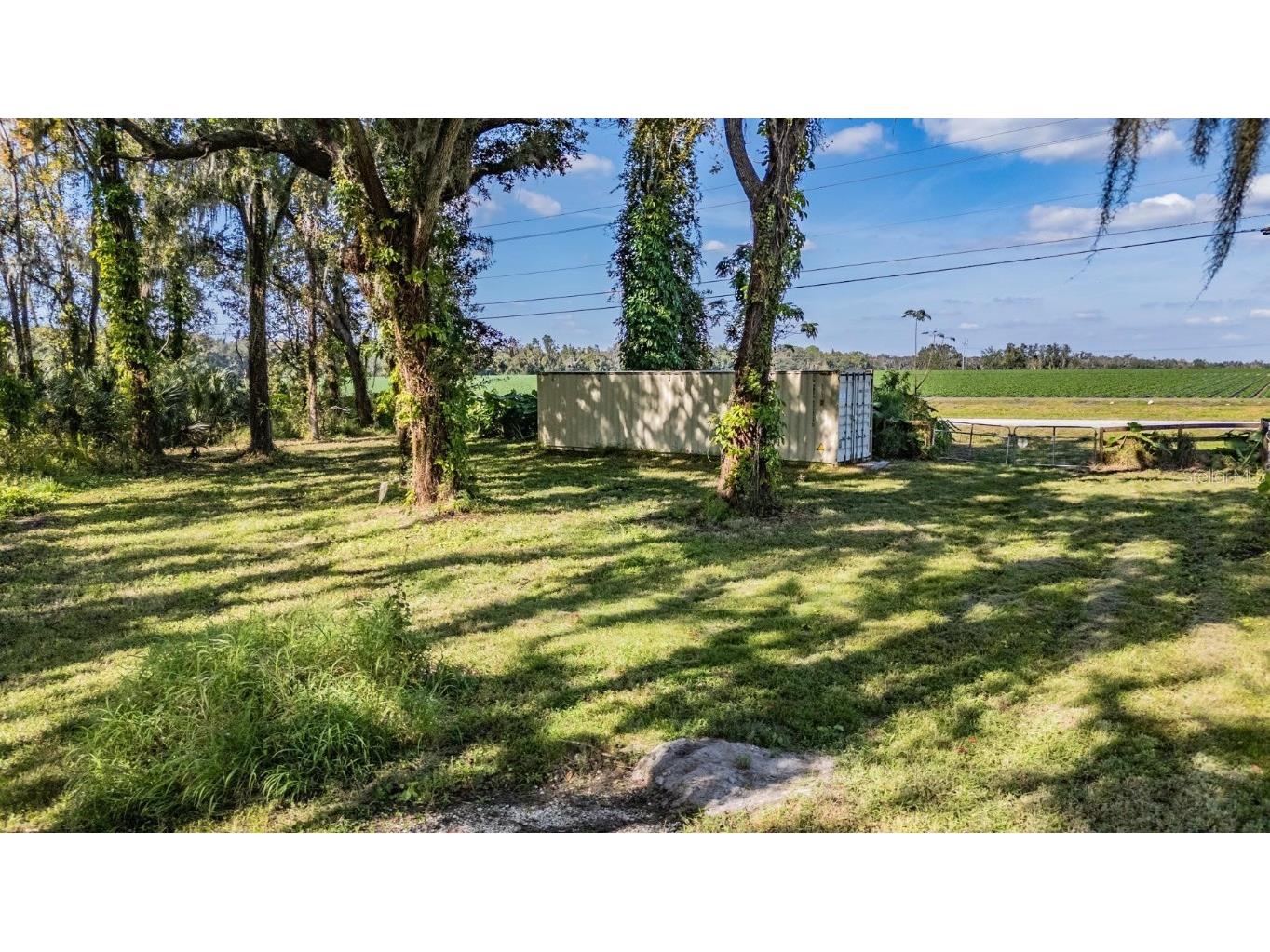 18113 672 Highway Lithia FL 33547 TB8449953 image4