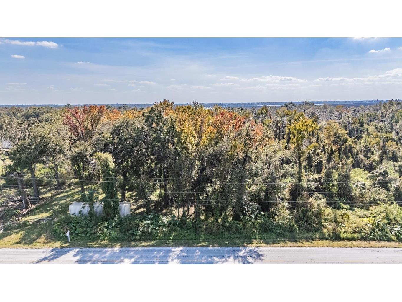 18113 672 Highway Lithia FL 33547 TB8449953 image8