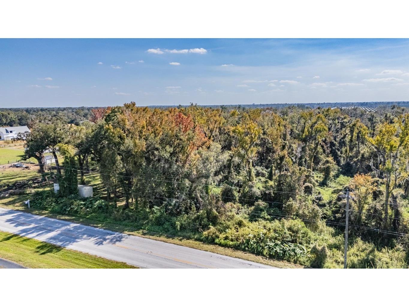 18113 672 Highway Lithia FL 33547 TB8449953 image9