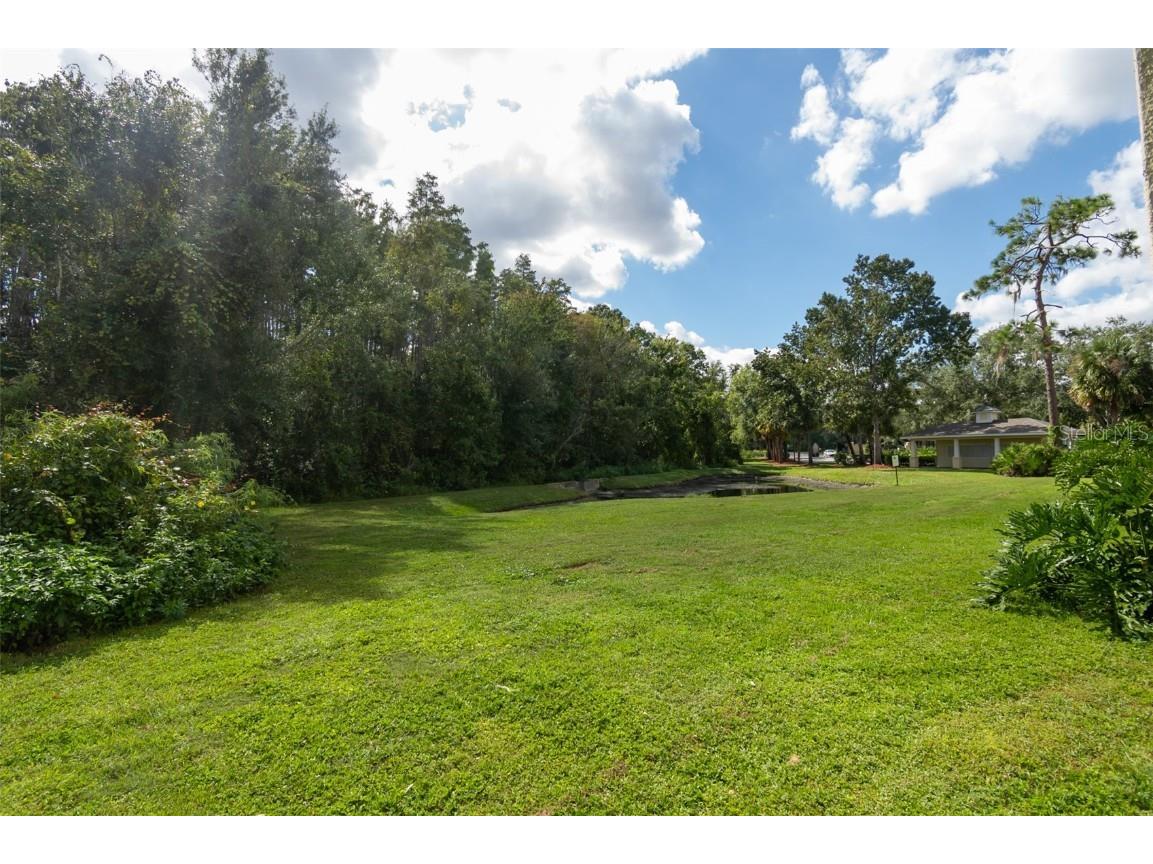 18113 Bridle Club Drive Tampa FL 33647 C7516565 image12