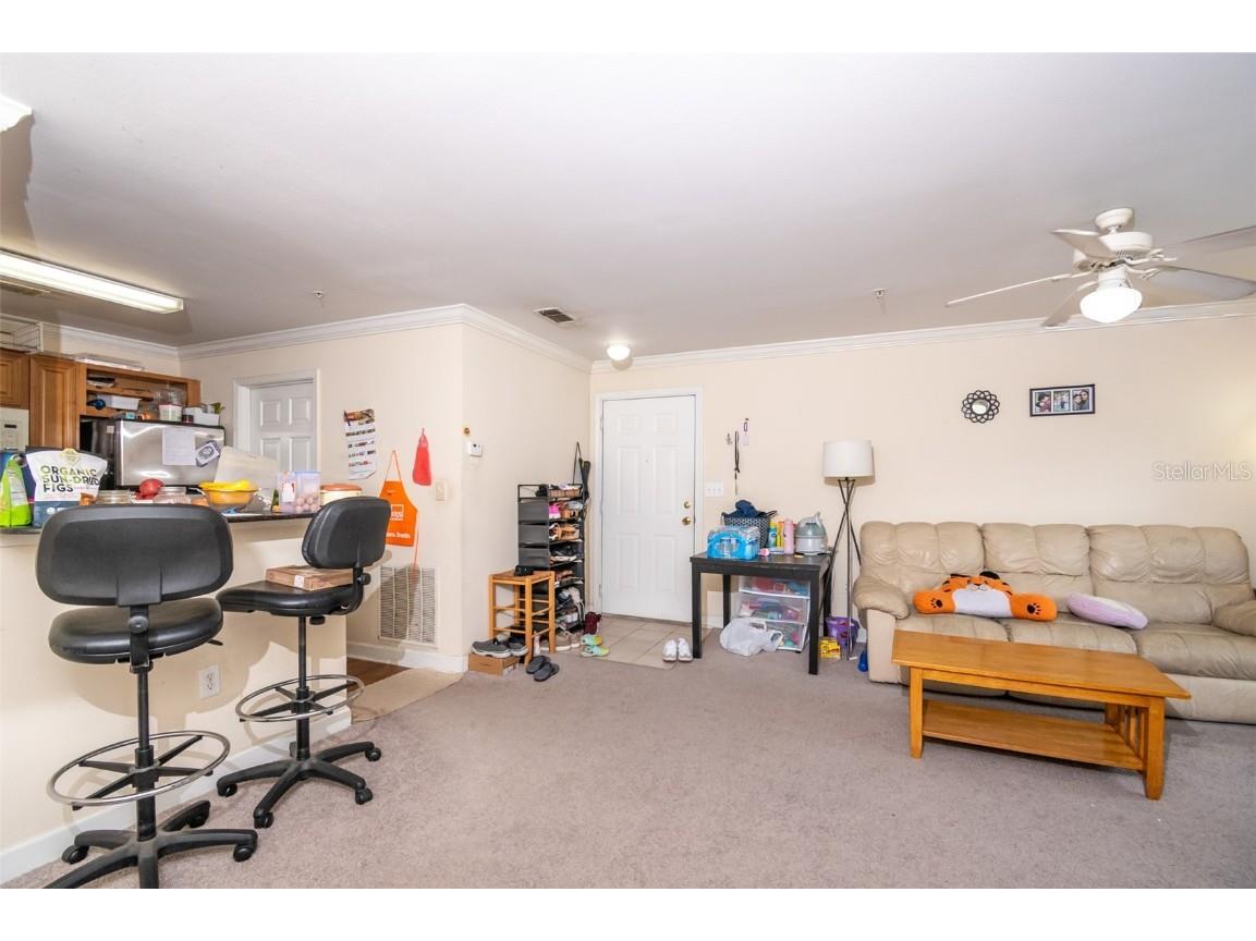 18113 Bridle Club Drive Tampa FL 33647 C7516565 image5