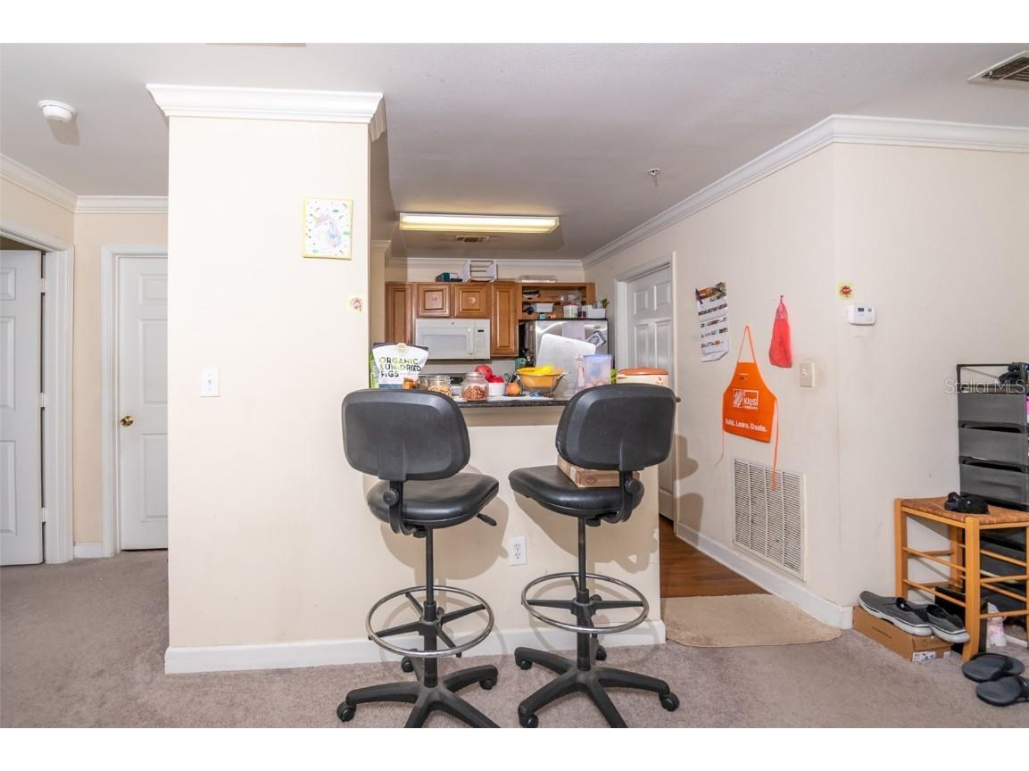 18113 Bridle Club Drive Tampa FL 33647 C7516565 image6