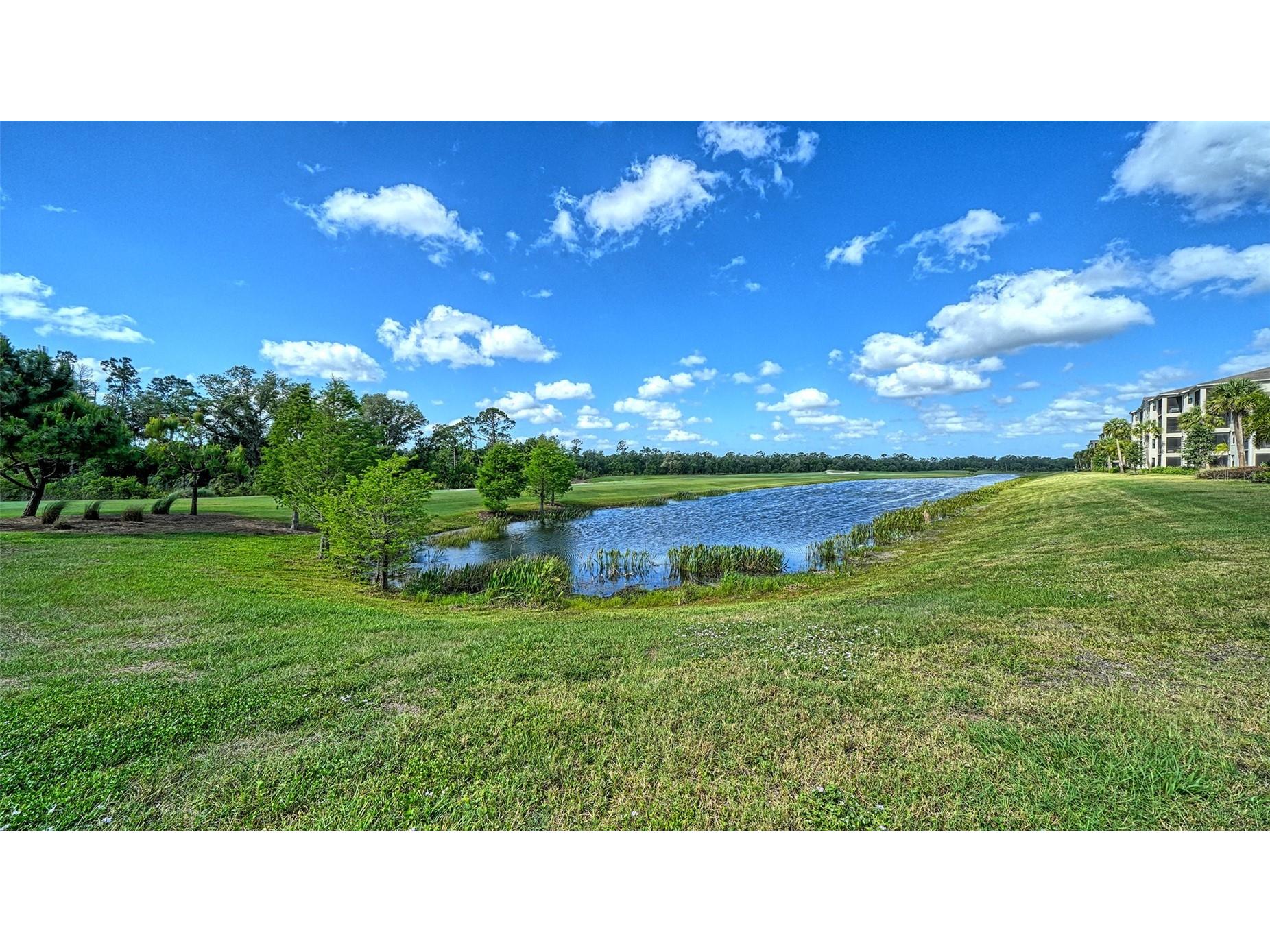 18114 Gawthrop Drive #308 Lakewood Ranch FL 34211 A4554851 image31