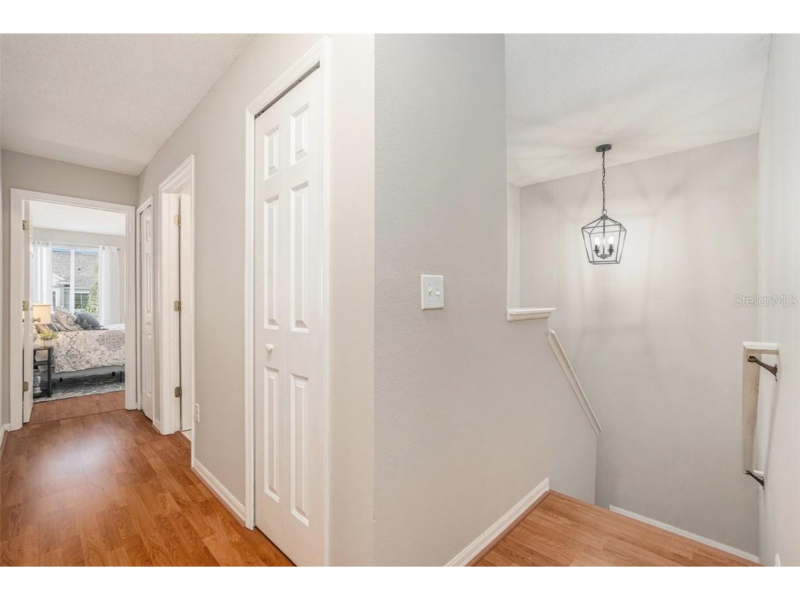 18114 Paradise Point Drive Tampa FL 33647 TB8436563 image18