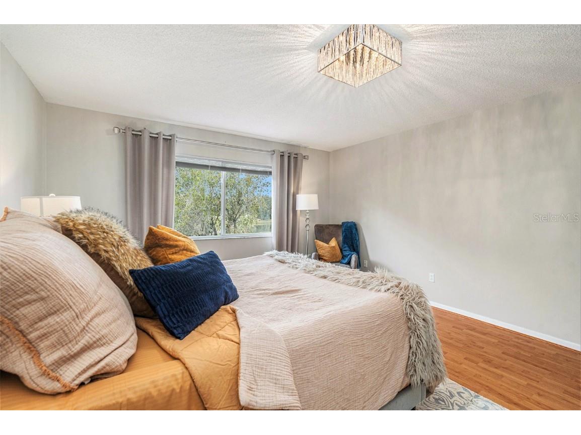 18114 Paradise Point Drive Tampa FL 33647 TB8436563 image21