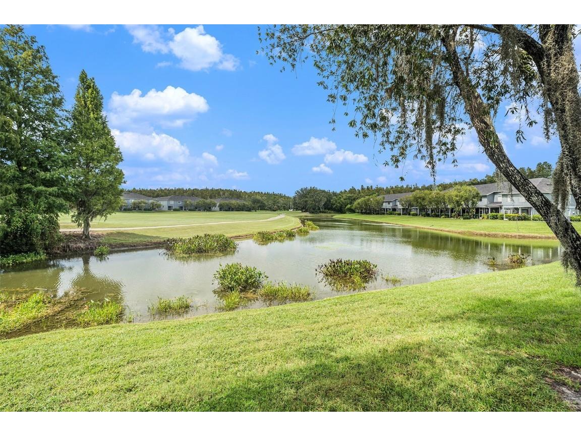 18114 Paradise Point Drive Tampa FL 33647 TB8436563 image30