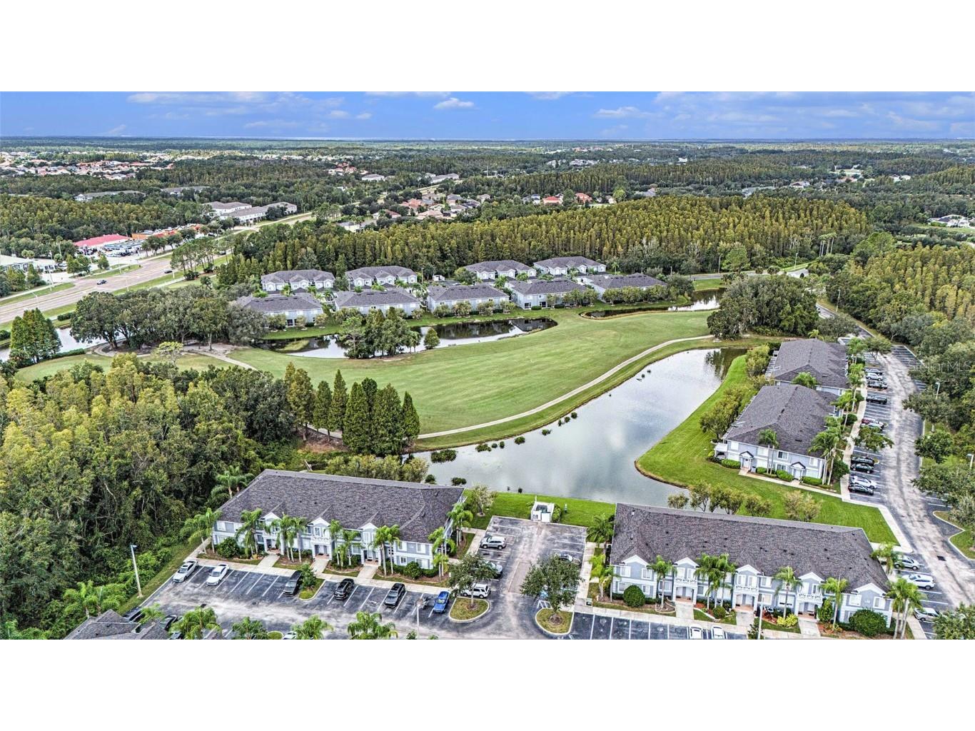 18114 Paradise Point Drive Tampa FL 33647 TB8436563 image33